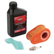 Kit entretien pour moteur Briggs & Stratton srie 700 992203 - 992234